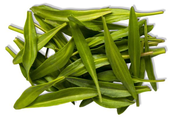 Lamsoor 1kg