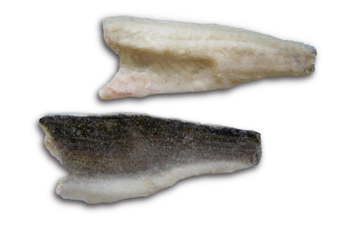 ❄ Zeebaarsfilet met vel 120-160g 5kg