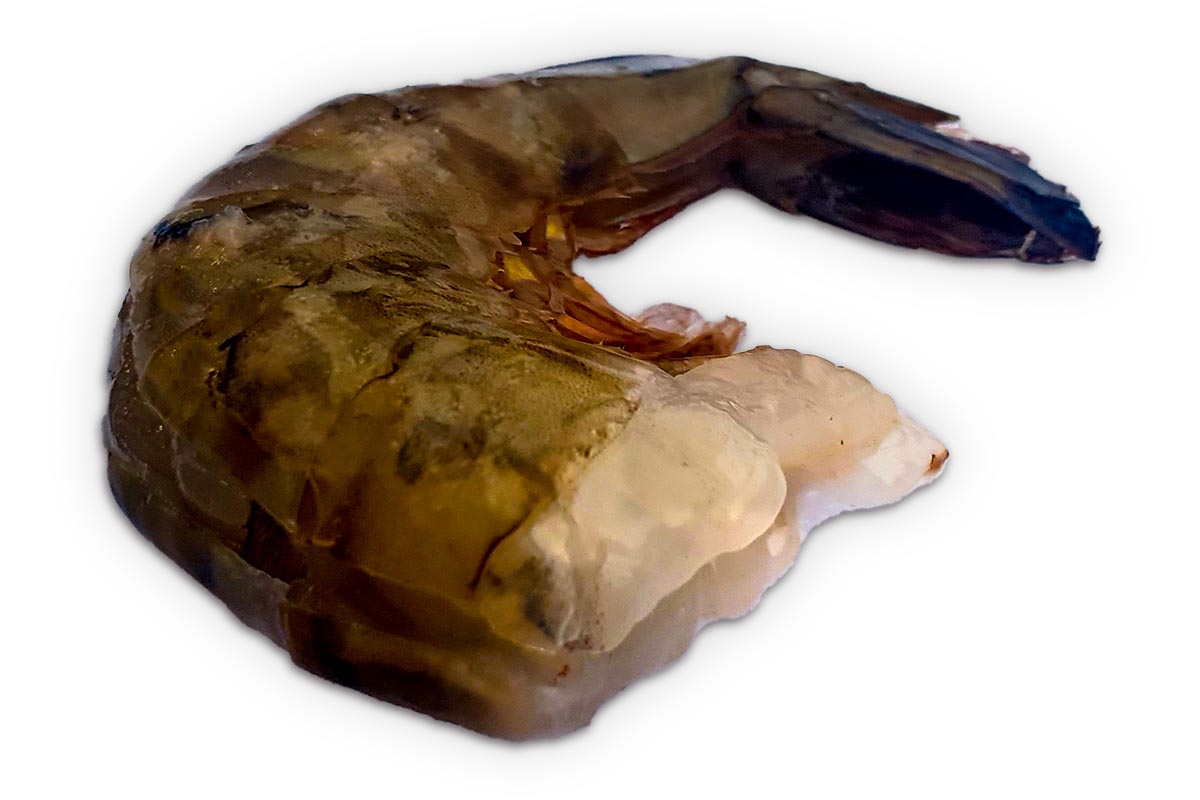 ❄ Gamba black tiger easy peel 13-15 1kg