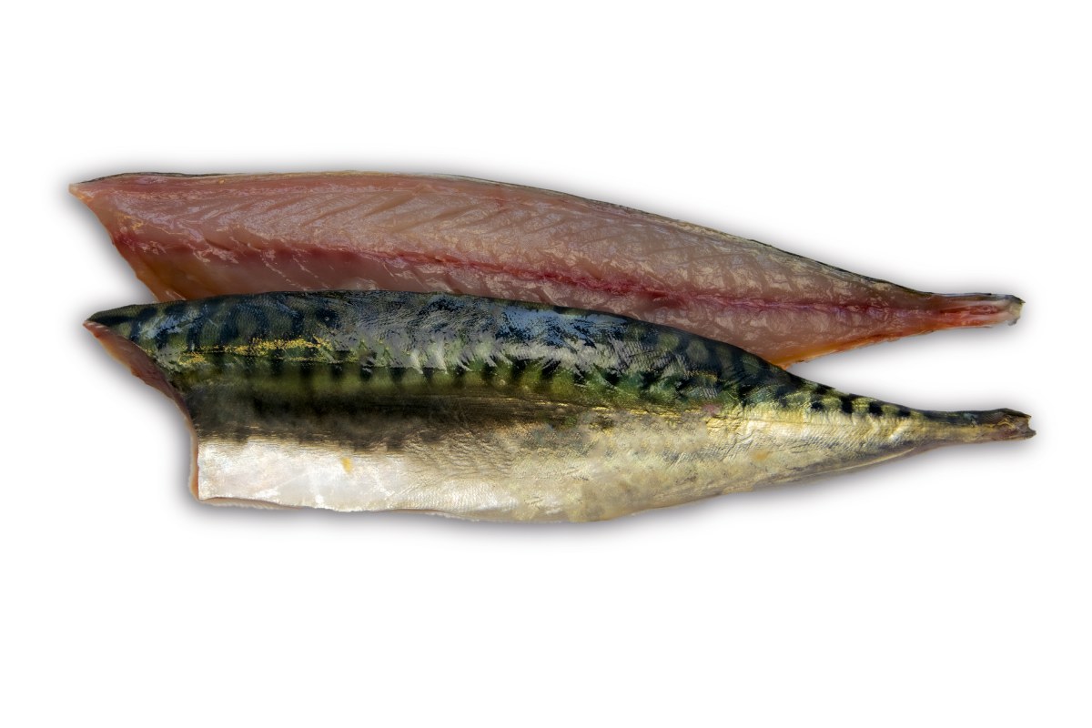 Makreelfilet met vel 80-120g