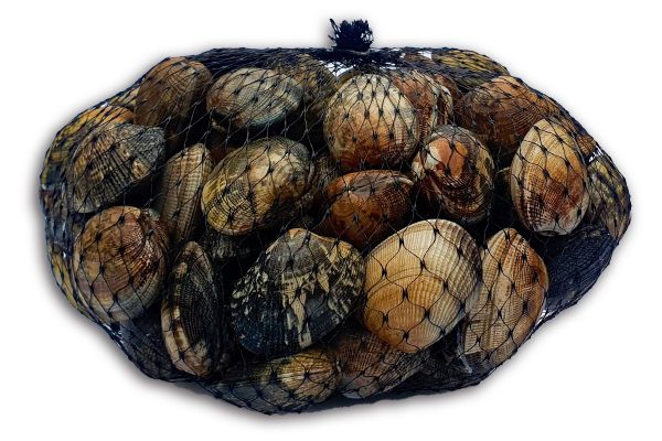 Palourdes 1kg