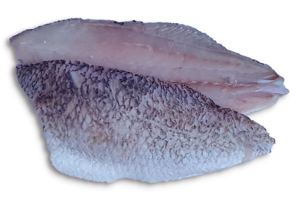 ❄ Barramundifilet met vel 170-230g 1kg