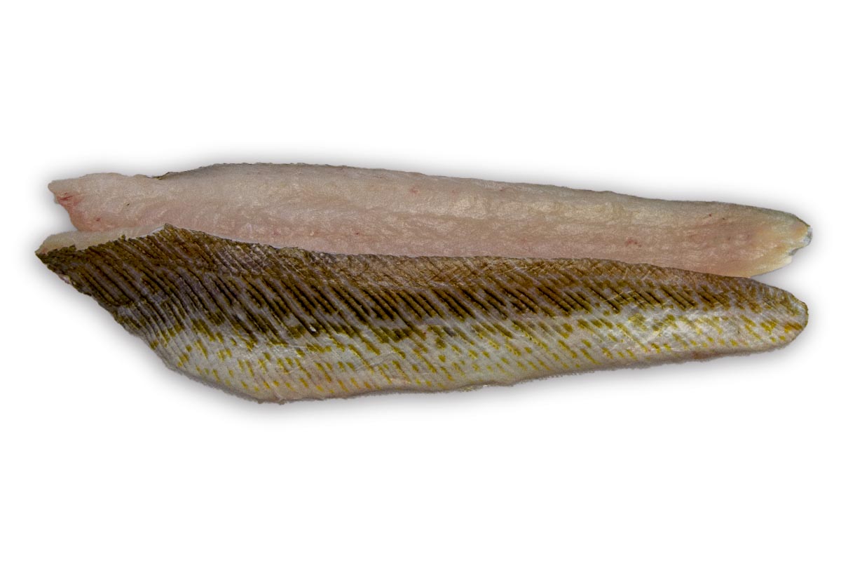 Pietermanfilet (1) met vel >70g