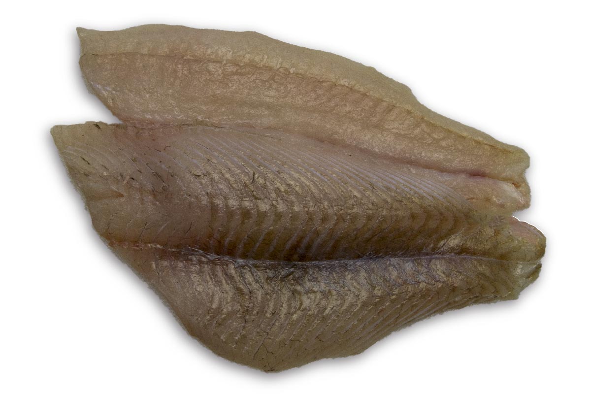 Grietfilet (1) zonder vel