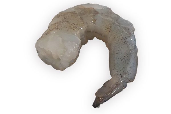 ❄ Gamba vannamei gepeld 8-12 1kg