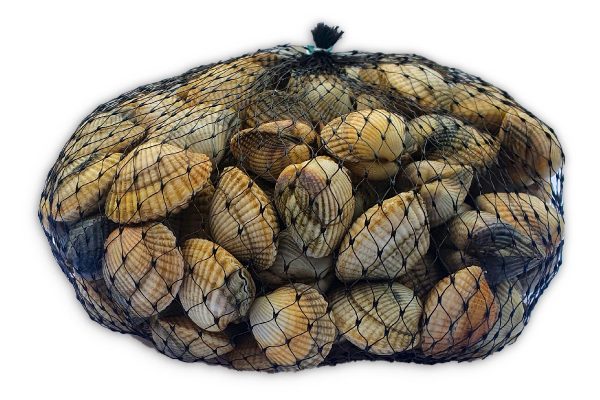Kokkels 1kg