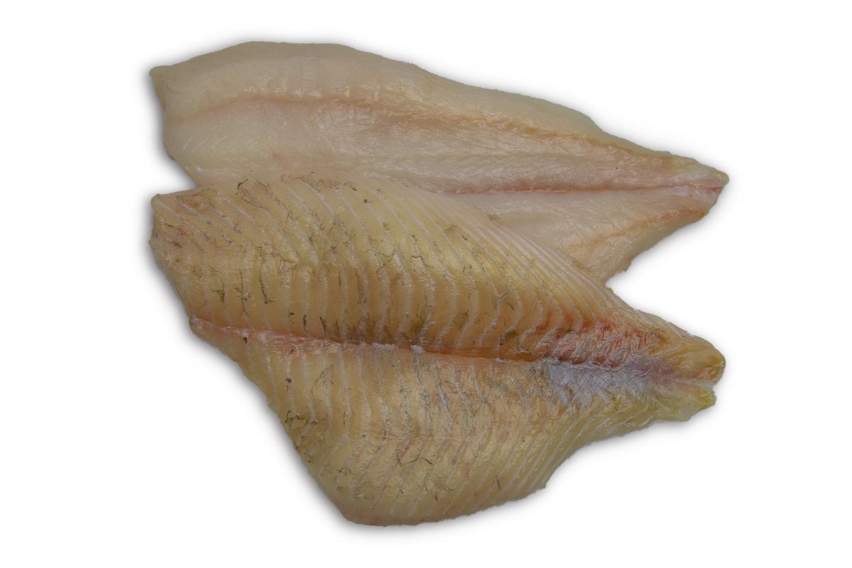 Tarbotfilet zonder vel 200-400g (1-2)