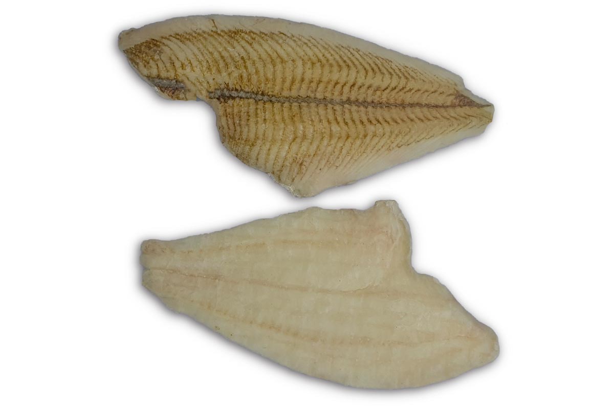 ❄ Scholfilet 120g+ 5kg