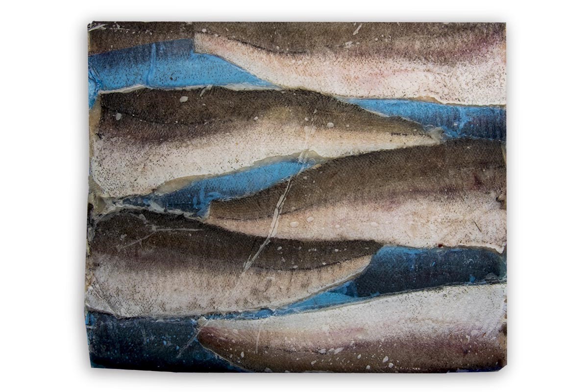 ❄ Heekfilet met vel zonder graat (4-6) 113-170g 5kg