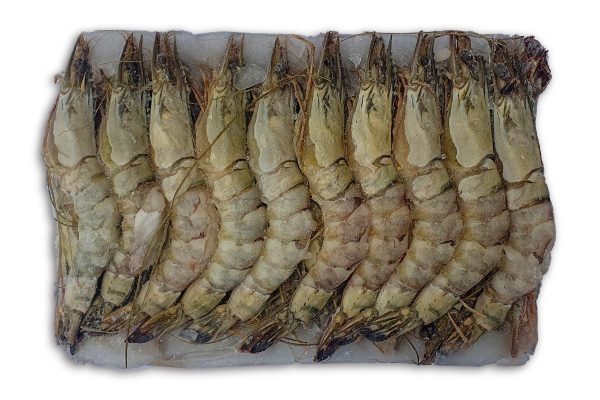❄ Gamba black tiger bodypeel 8-12 1kg