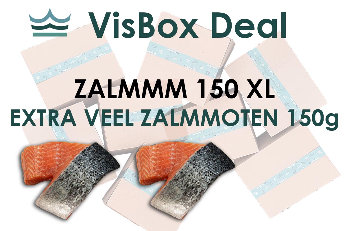 ❄ VisBox Zalmmm 150 XL