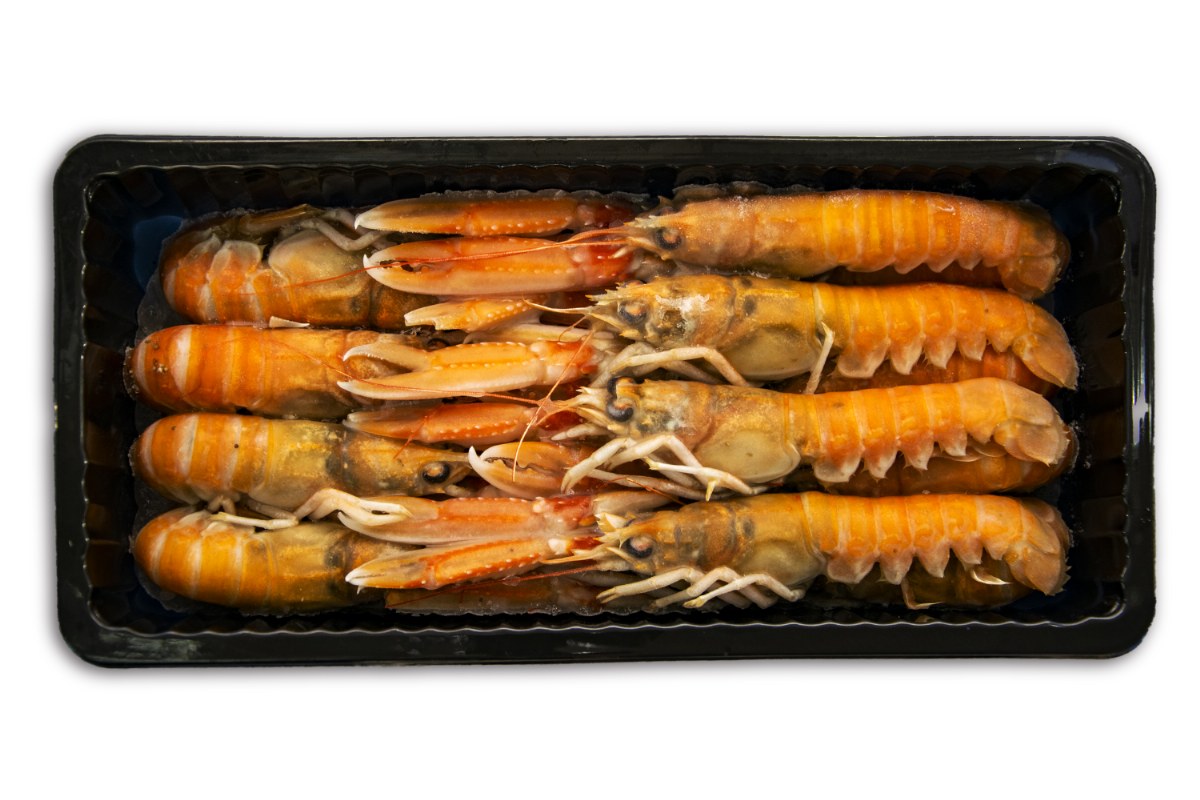 ❄ Langoustine 8-12 1kg