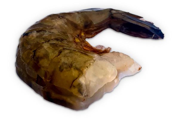 ❄ Gamba black tiger easy peel 13-15 1kg