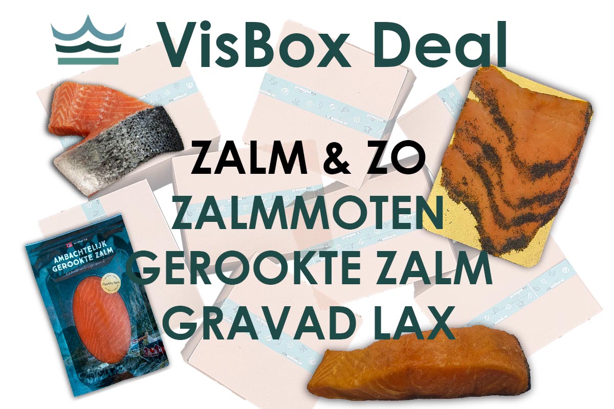 ❄ VisBox Zalm & Zo