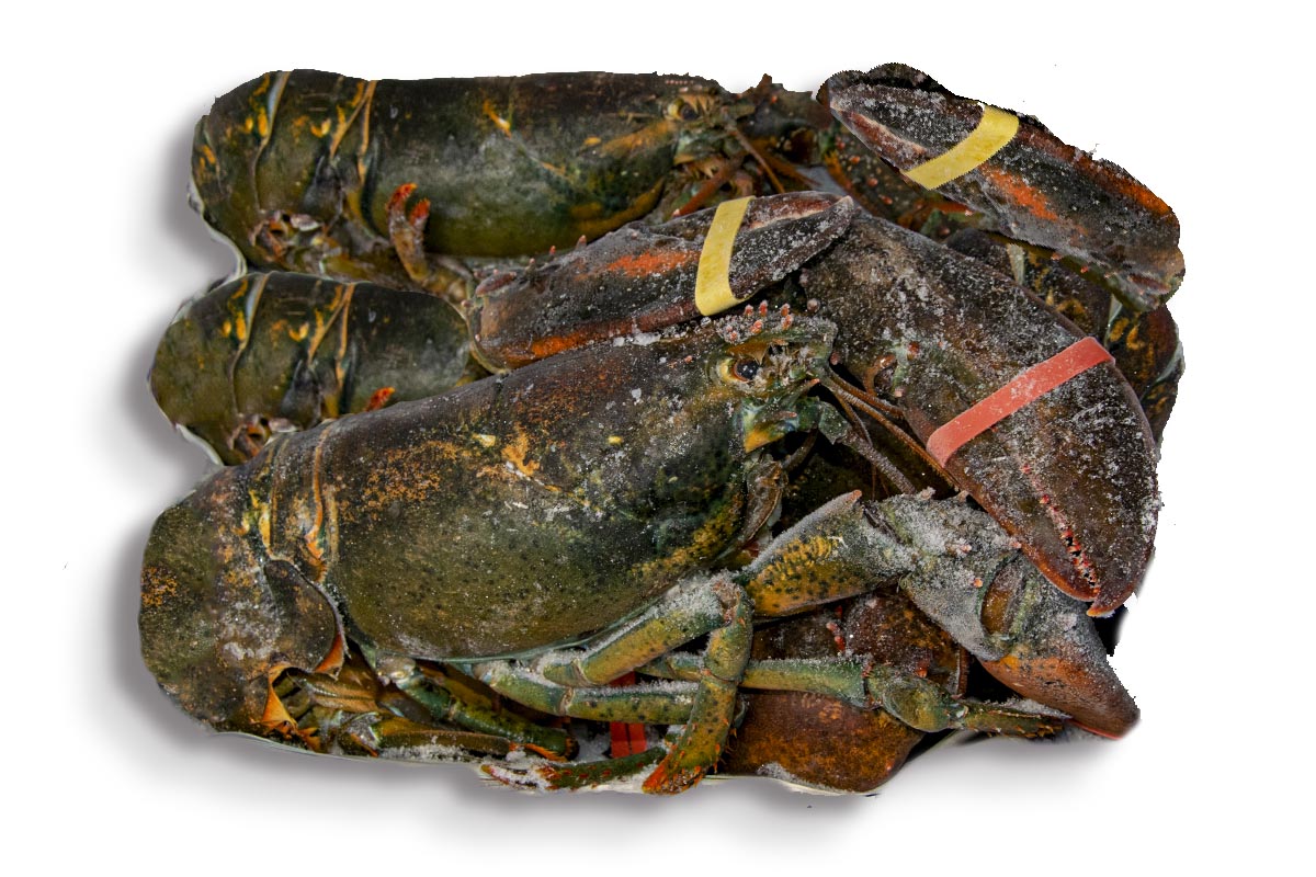 ❄ Kreeft voor soep ca. 1kg