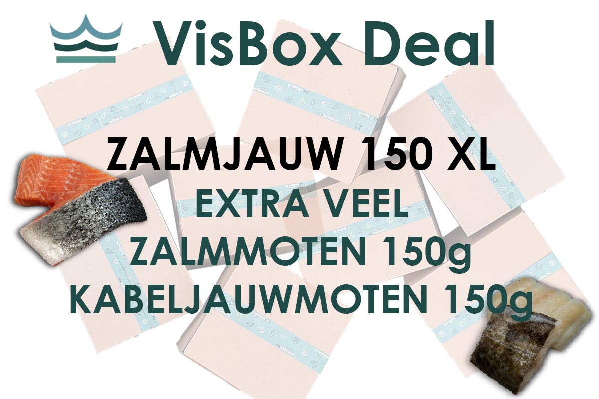 ❄ VisBox ZalmJauw 150 XL