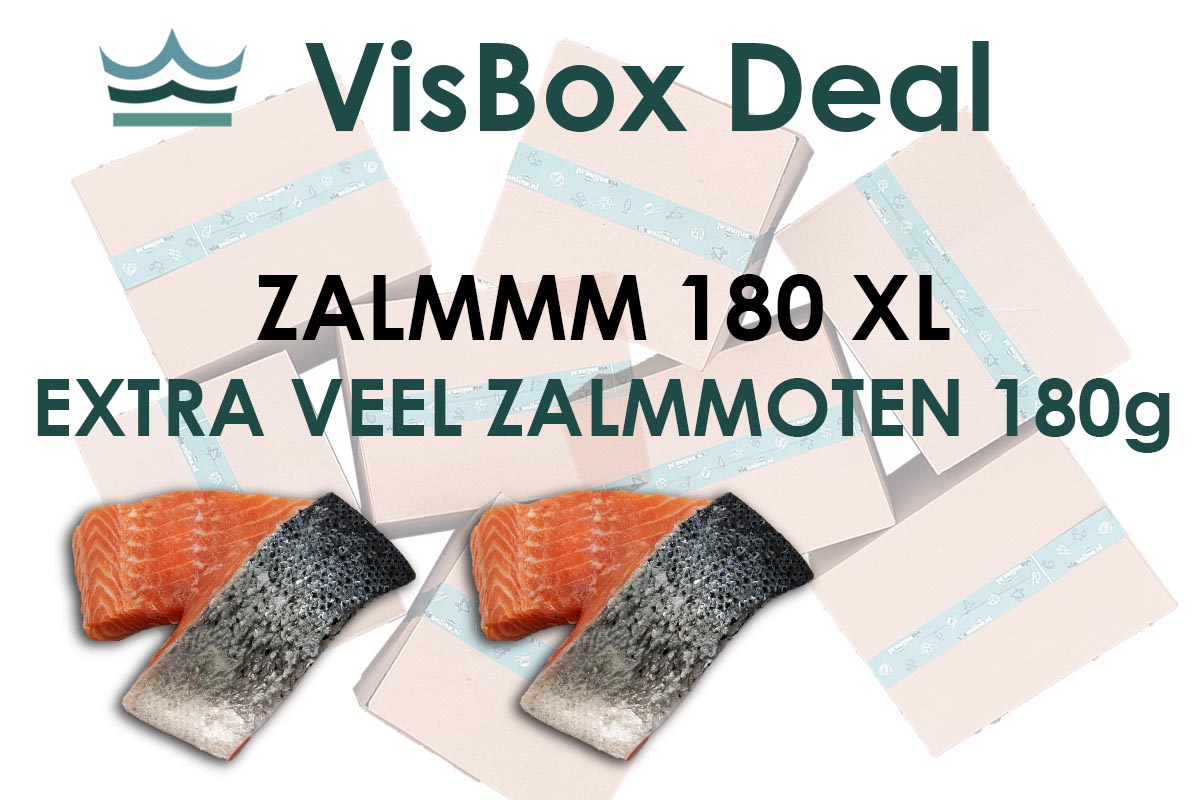 ❄ VisBox Zalmmm 180 XL